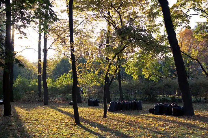 A peaceful park with autumn leaves and garbage bags collected, conveying an environmental theme.