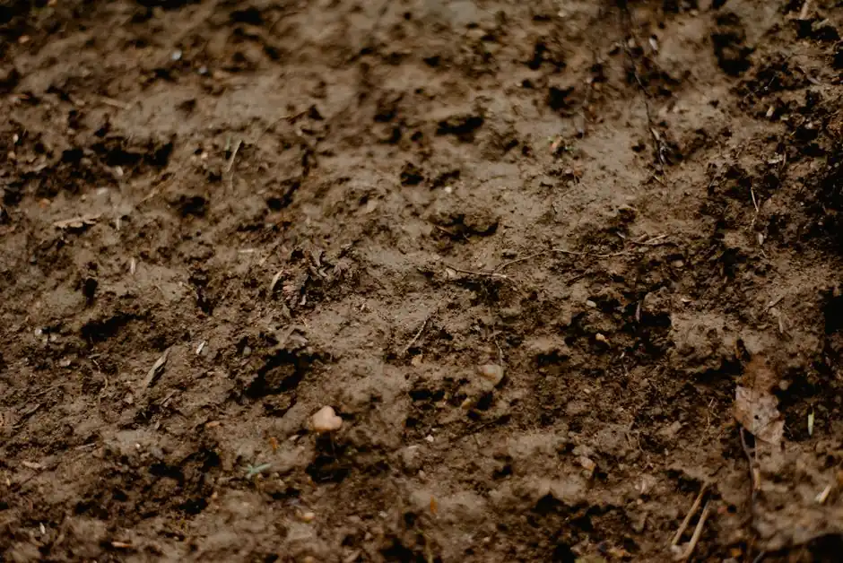 Full frame background of surface of brown wet dirty soil with small sticks