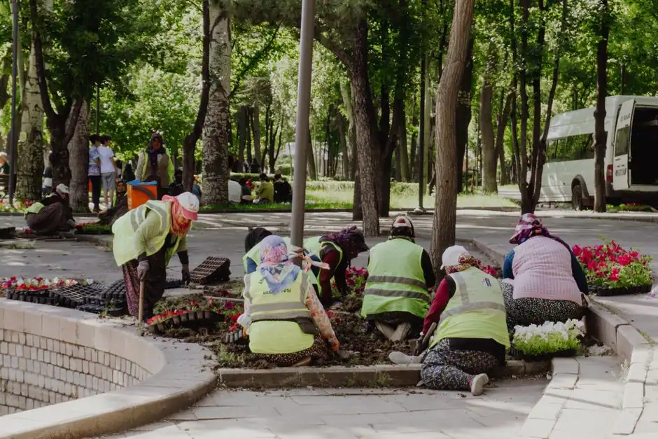Group of adults planting flowers in a sunny park garden.